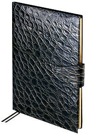 Подарок бизнес класса в Воронеже